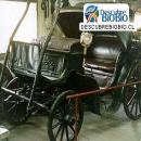 MUSEO STOM, Chiguayante, Atractivo Tur&iacute;stico