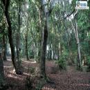 PARQUE TUMBES, Talcahuano, Atractivo Tur&iacute;stico