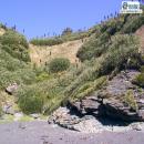 PARQUE HUALPEN, Hualpen, Atractivo Tur&iacute;stico