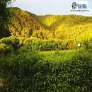 RESERVA NACIONAL ISLA MOCHA, Lebu, Atractivo Tur&iacute;stico