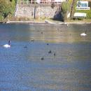 Laguna Chica, San Pedro de la Paz, Atractivo Tur&iacute;stico