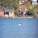 Laguna Chica, San Pedro de la Paz, Atractivo Tur&iacute;stico