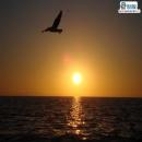ATARDECER