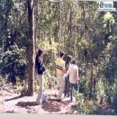 PARQUE JORGE ALESSANDRI