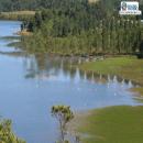 Lago Lanalhue