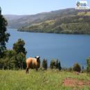 Lago Lleu Lleu